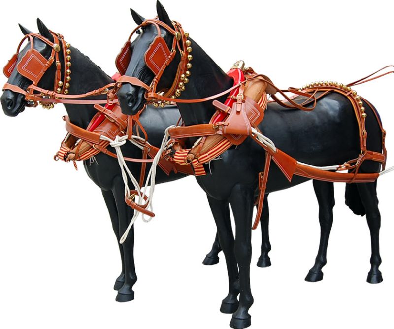 Calañesa Harness